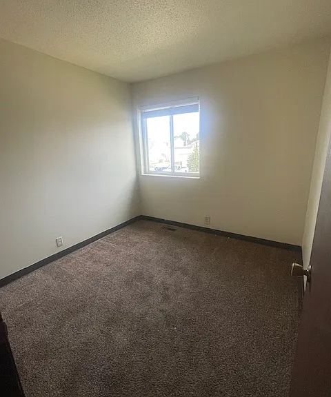 Willow Springs Apartments — Photo 40