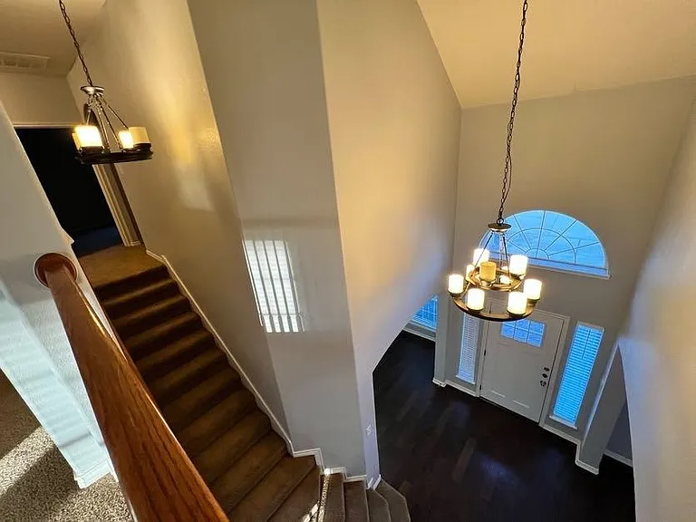 3904 Brush Creek Trl — Photo 39