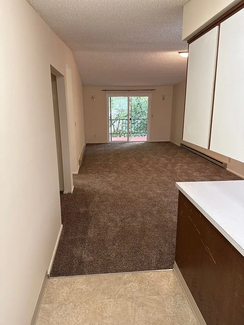 2 bed, 1.0 bath, 800 sqft, $1,145 — Photo 4