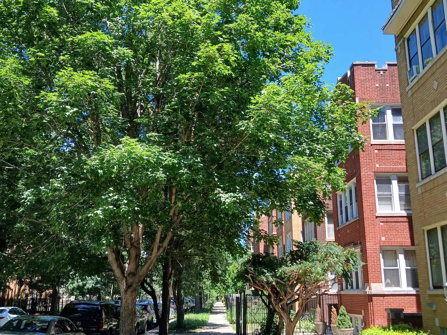 5017 N Springfield Ave — Photo 4