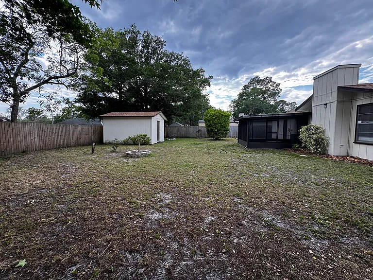 Backyard