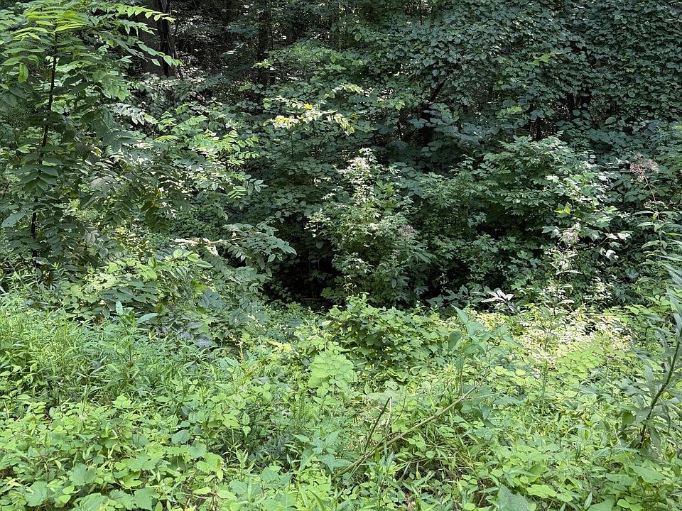 1st image of 0 Butternut Ln Lot 56