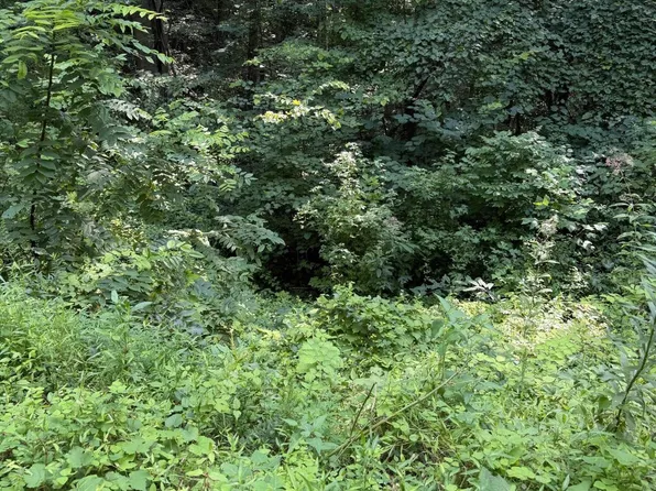 LOT 56 Butternut Ln Lot 56, Sevierville, TN 37876