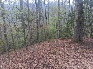 0 Bear Creek Rd, Maggie Valley, NC 28752