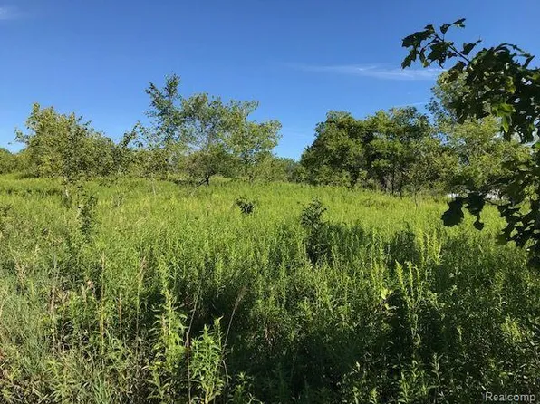 0 Bradley Rd, Webberville, MI 48892
