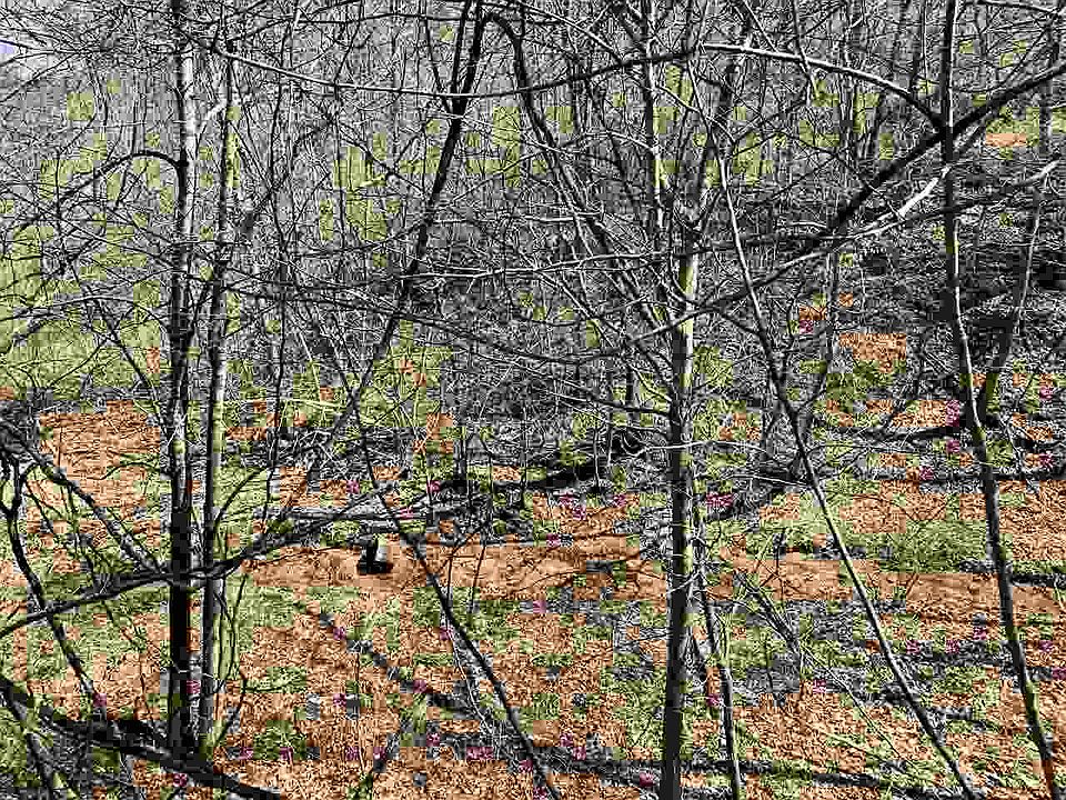 1st image of Us Highway 23
