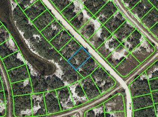 264 Hopedale Dr, Lake Placid, FL 33852