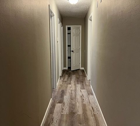 hallway205_07282023