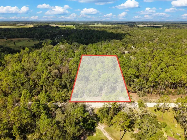 6339 NW 17th Ct, Bell, FL 32619