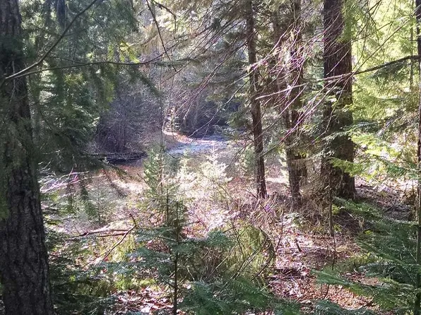 662 Silver Creek Rd, Easton, WA 98925