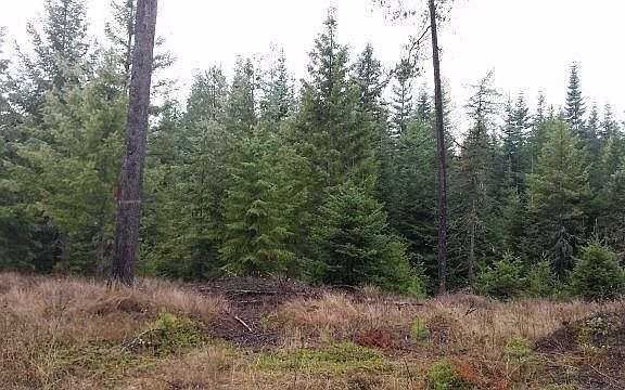 4th image of 421 Tinas Trl