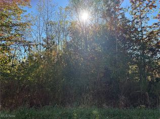 Pearl Ave, Lorain, OH 44055