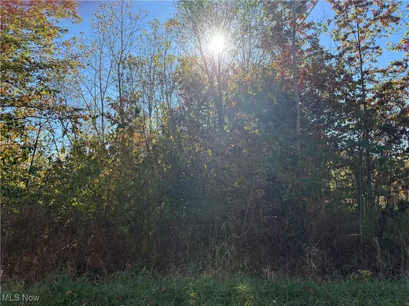 Pearl Ave, Lorain, OH 44055