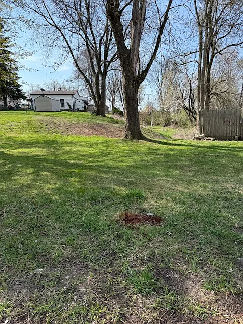 2 bed, 566 sqft, $870 — Photo 2
