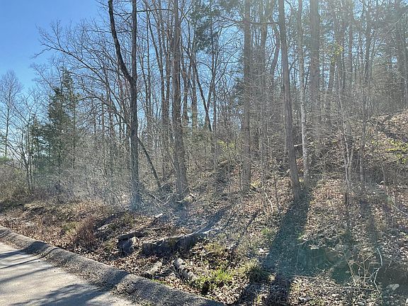 2nd image of 47 Caney Branch Rd