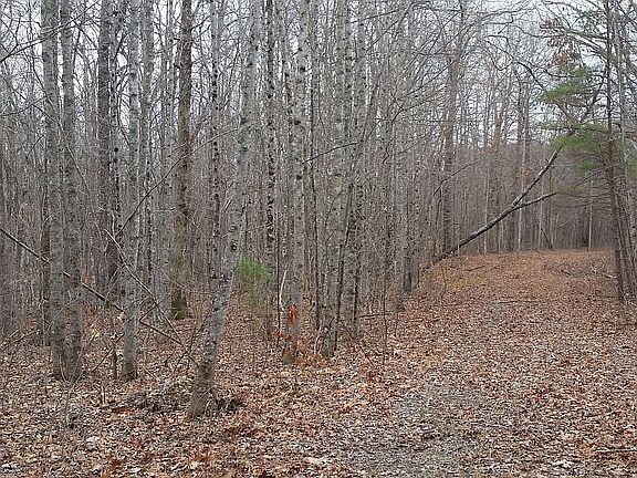 5th image of Valley Ct #181