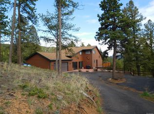 162 Lionsbrooke Ln, Pine, CO 80470