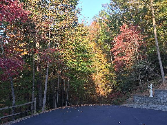 Driveway fall colors