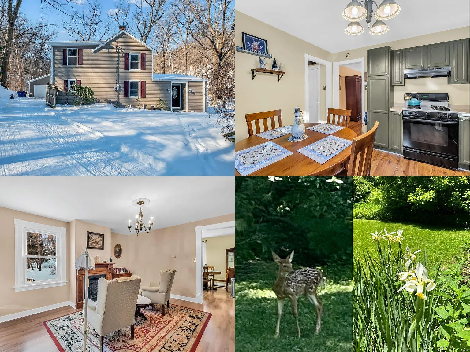 489 Carrico Rd photo 1