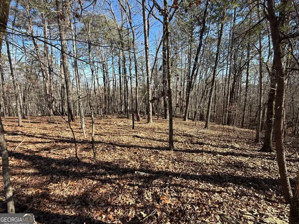 0 Grindle Bridge Rd, Dahlonega, GA 30533