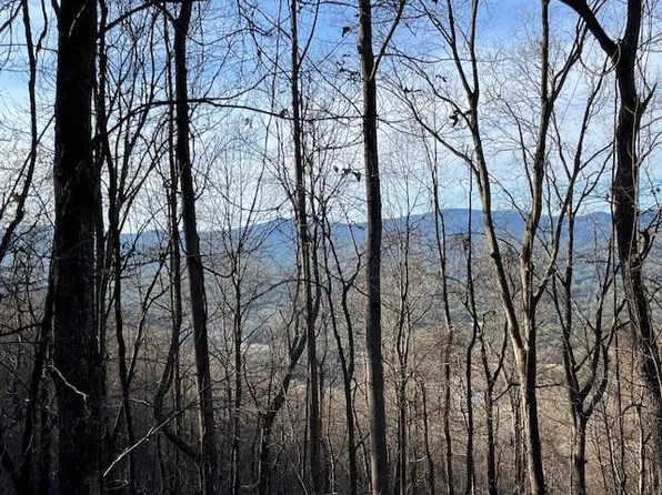 Lot 73 Hidden Treasure Estates LOT 73, Murphy, NC 28906