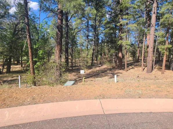 2401 Narrow Leaf Ln, Show Low, AZ 85901