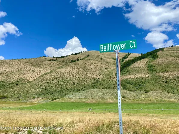38 Bellflower Ct, Afton, WY 83110
