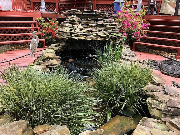 back deck/pond