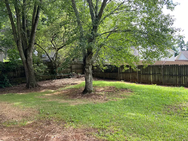 Backyard 2