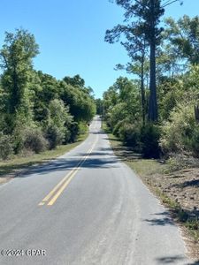 0 Tommy Tucker Rd Lot 5, Altha, FL, 32421