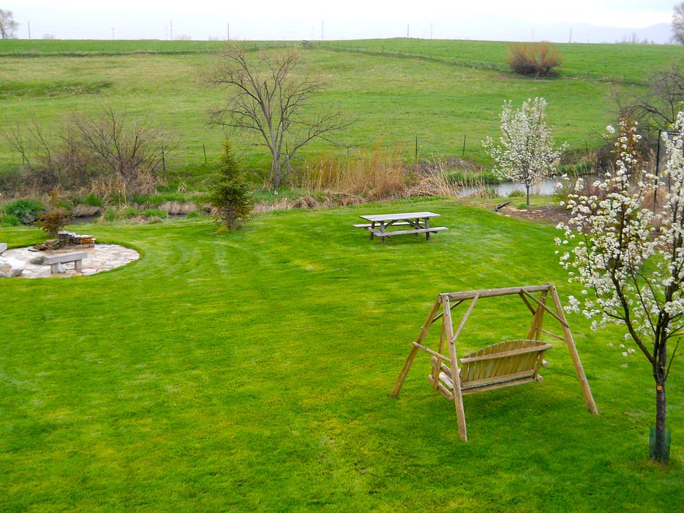 Back yard by creek-East