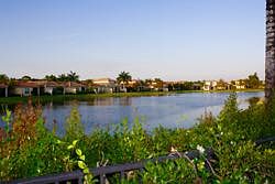 View from backyard