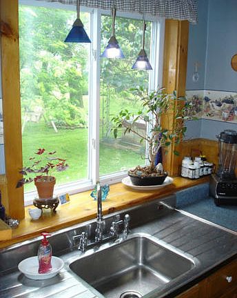 Pantry Sink with View
