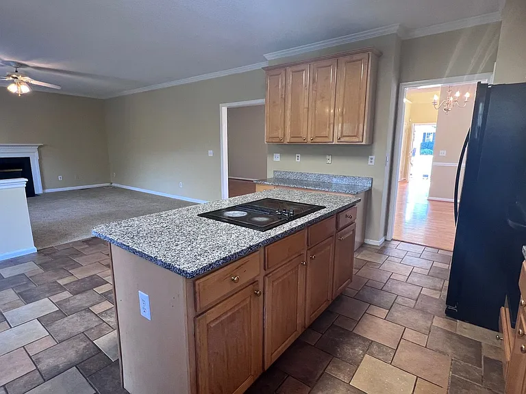 201 Tecumseh Ct — Photo 12