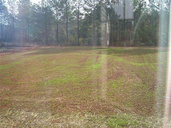 Huge Back Yard