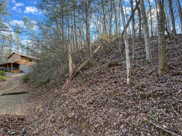 0 Cole Ln, Gatlinburg, TN 37738