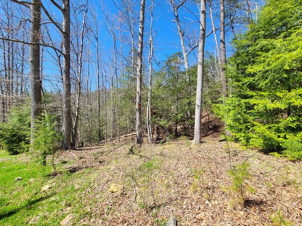 Lot In Cobbly Nob 37738 Real Estate 9 Homes For Sale Zillow