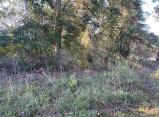 Lots 9 & 10 3rd Ave, Florala, AL 36442