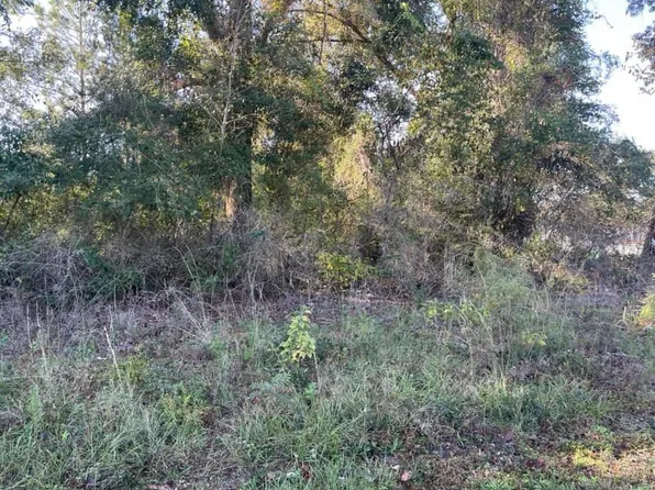 Lots 9 & 10 3rd Ave, Florala, AL 36442