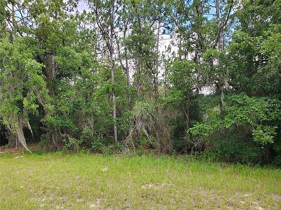 3rd image of 8650 SW 138th Ln #3
