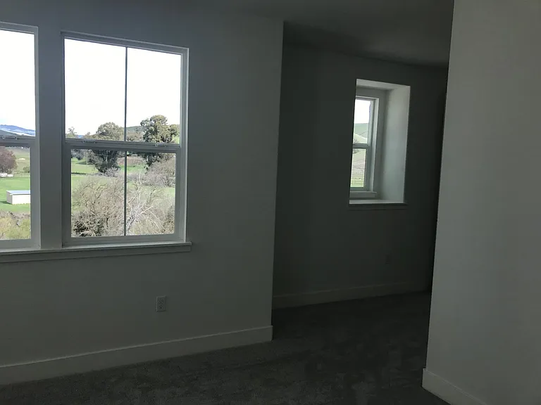 7304 Stags Leap Ln — Photo 6