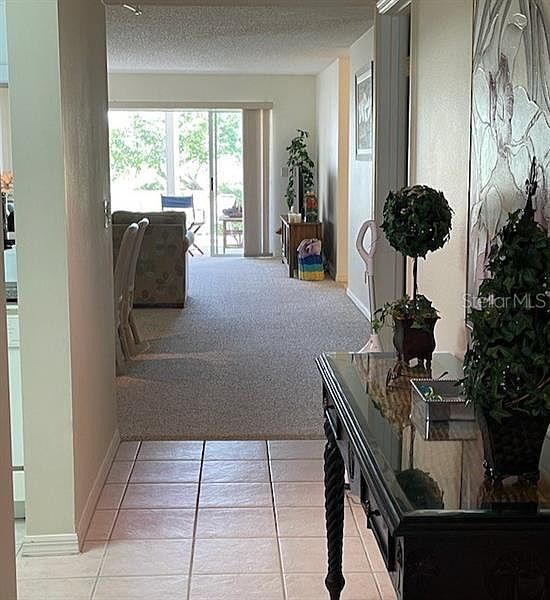 Front Entry to Living Area (Previous Photo with Carpet)