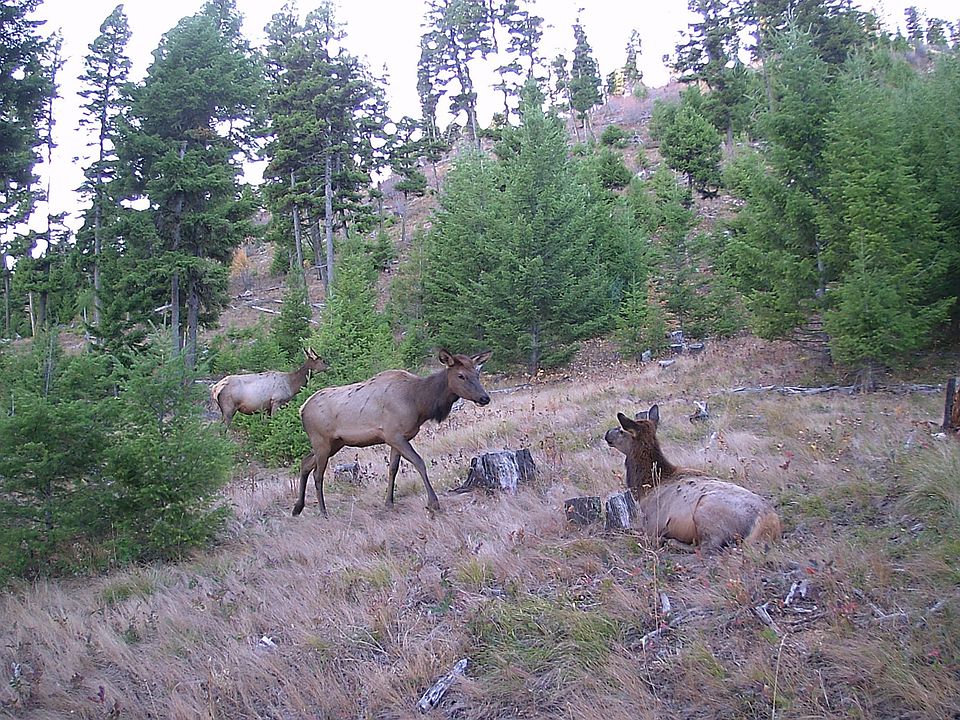 1st image of Nhn Mulkey Gulch