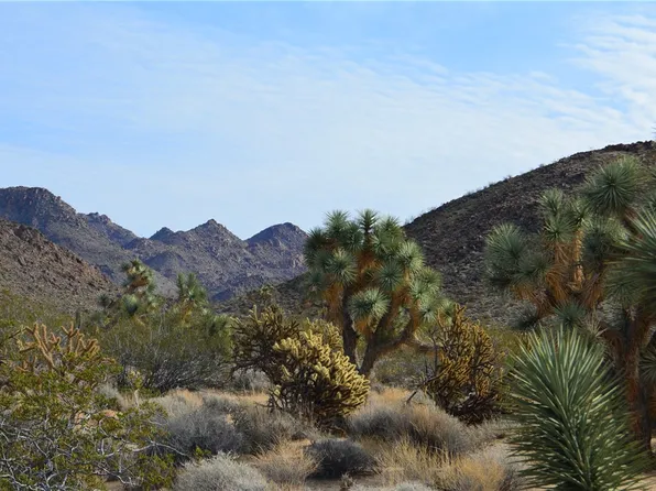 11869 S Central Rd, Yucca, AZ 86438