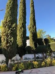 Pasadero Pl, Tarzana — Photo 2