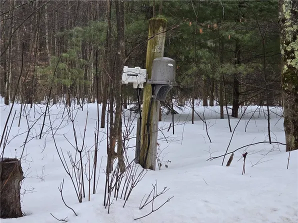 LOT 110 Corbin Hill Rd, Sprakers, NY 12166