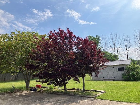 5th image of 504 Timsway Dr