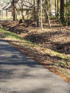 0 Carter Cemetery Rd, Springfield, LA, 70462