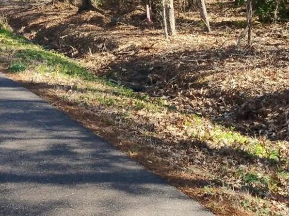 0 Carter Cemetery Rd, Springfield, LA 70462