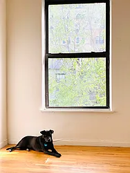 Rented by Lone Peak Realty